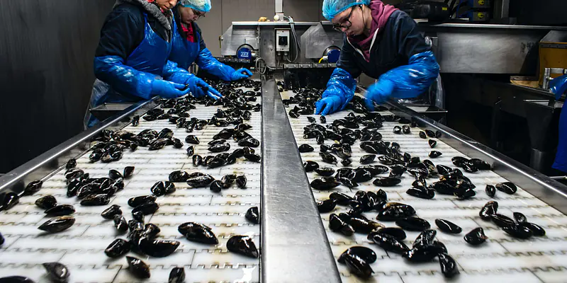 ¿Qué equipos de protección individual (EPI) se usan en la industria alimentaria?