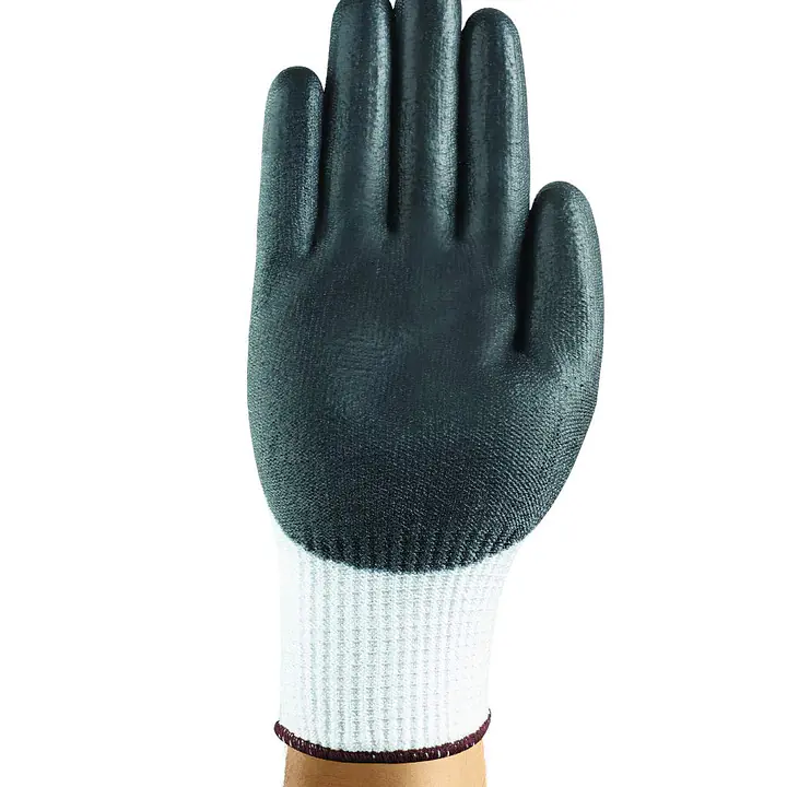 61toNp9texL._SL1300_.jpg