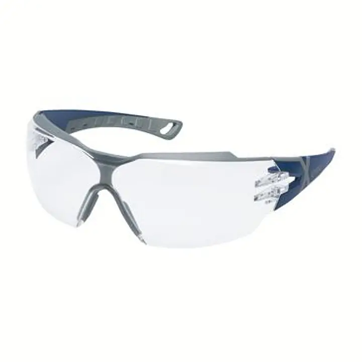 Gafas de seguridad Uvex Pheos CX2 9198257