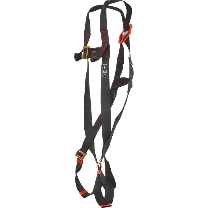 Jsp_far0302_safeguru_04.webp