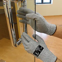 Jomiba_polidyn_safeguru_03.png