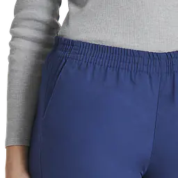 Dickies_86106_navy_safeguru_04.webp