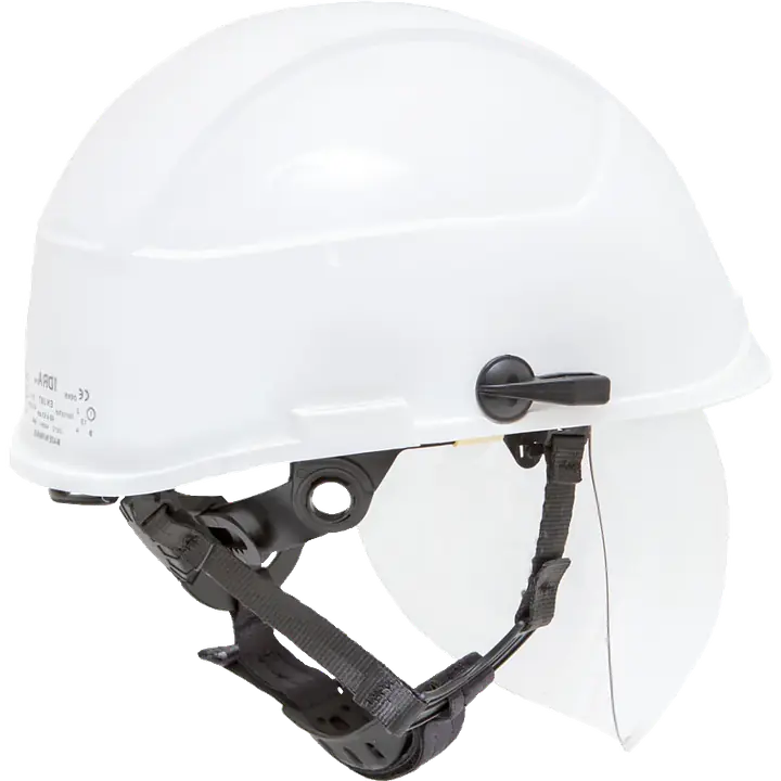 Sibol_idra_i_safeguru_02.webp