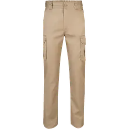 103002s_46_1_safeguru_nb.png