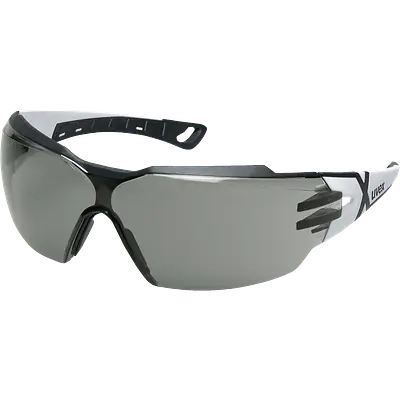 Gafas de seguridad Uvex Pheos CX2 9198237 primary image