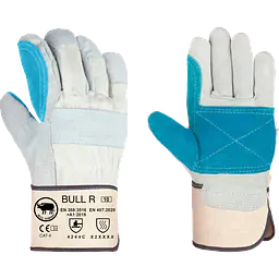 Jomiba_bull_r_safeguru_03.webp