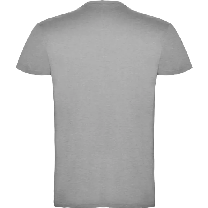 Camiseta Roly BEAGLE 6554 - Color: Gris Vigore, Talla: XL