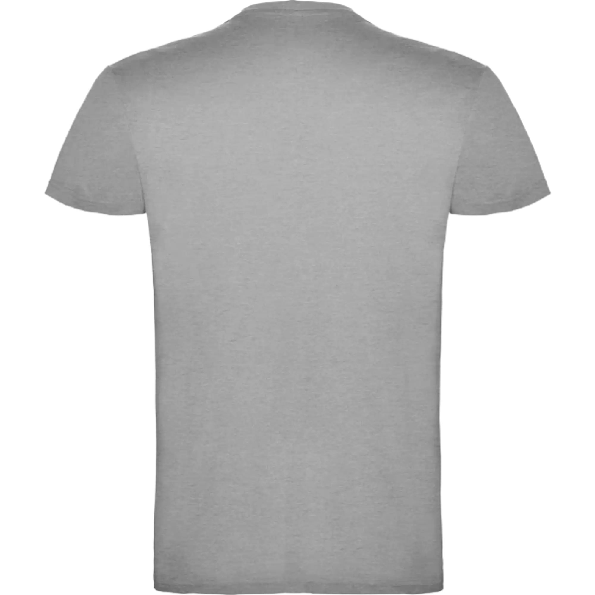 Camiseta Roly BEAGLE 6554 - Color: Gris Vigore, Talla: XL