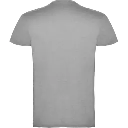 Camiseta Roly BEAGLE 6554 - Color: Gris Vigore, Talla: XL
