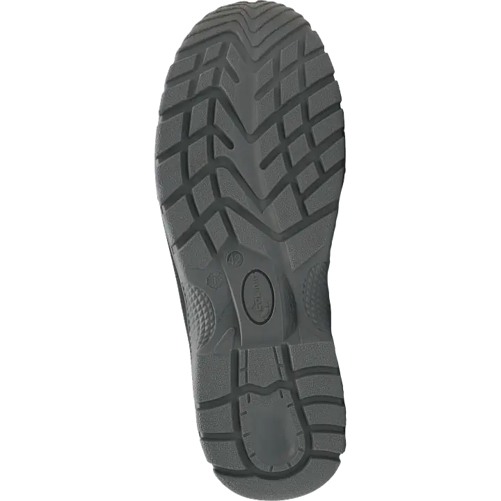 Calima_bombay_safeguru_04.webp