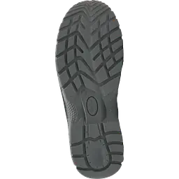 Calima_bombay_safeguru_04.webp