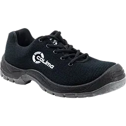 Calima_bombay_safeguru_01.webp