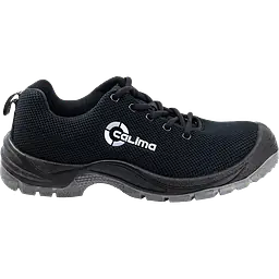 Calima_bombay_safeguru_02.webp