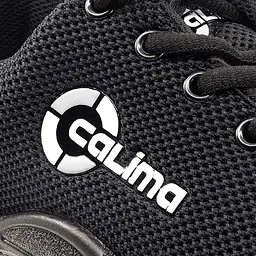 Calima_bombay_safeguru_03.png