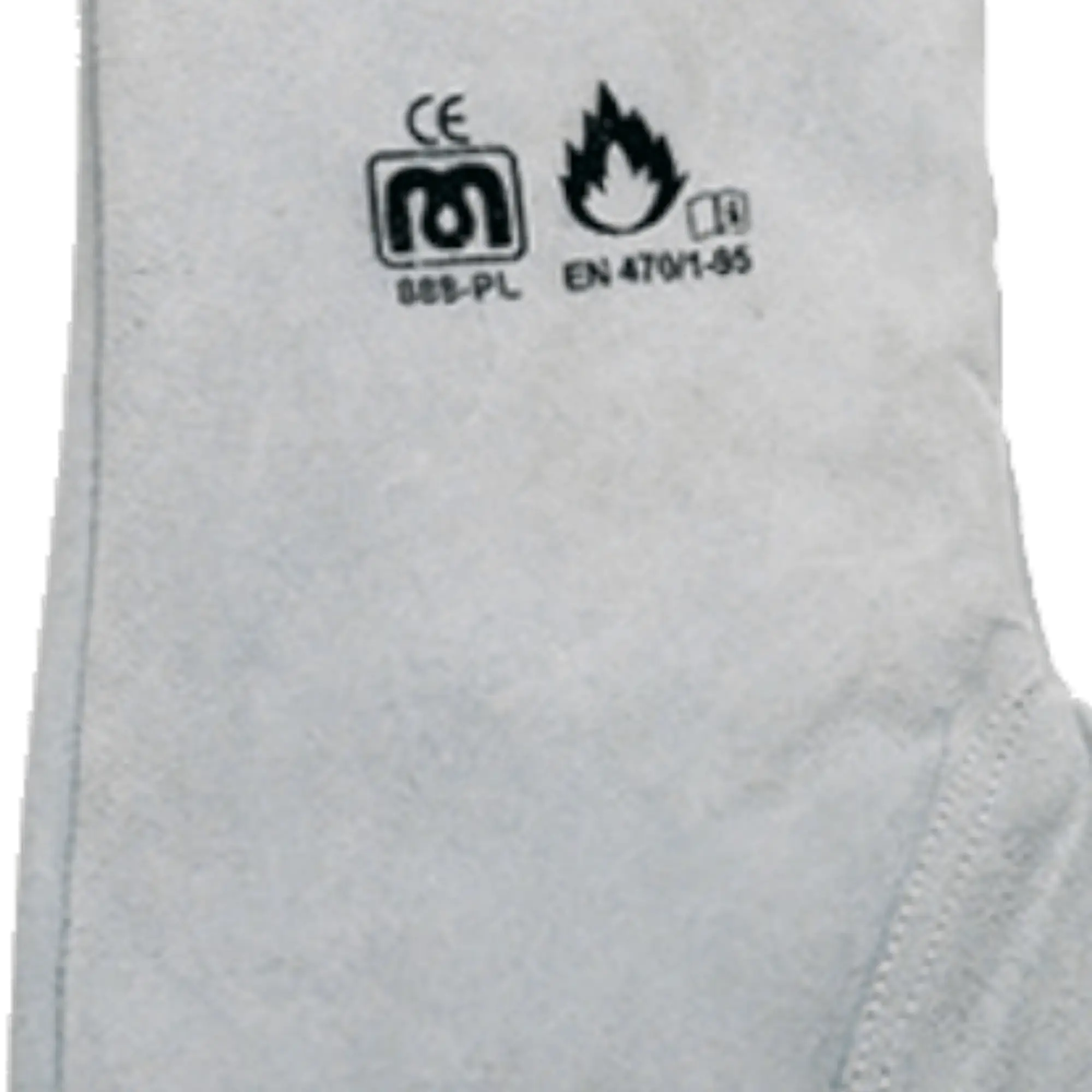 Marca_888_PL_safeguru_02.png