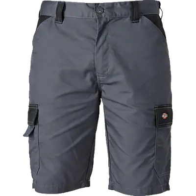 Bermudas Dickies EVERYDAY secondary image