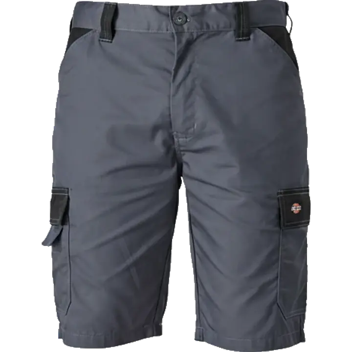 Dickies_36187_grey_safeguru_01.webp