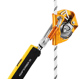 R074DA-ASAP-AXIS-focus-1_HighRes.png