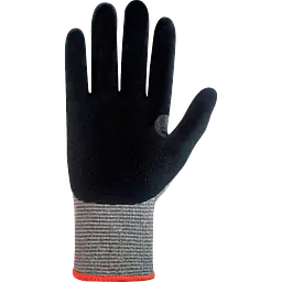Jomiba_kiore_5_safeguru_02.webp