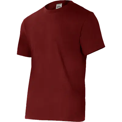Camiseta Velilla 5010 primary image