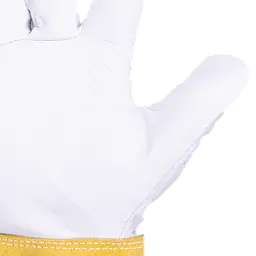 _MG_2849detalle.png