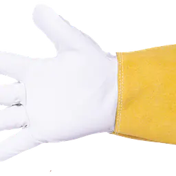 _MG_2849.png