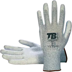 Tb_120ce_static _safeguru_01.webp