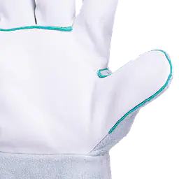 _MG_2852detalle.png
