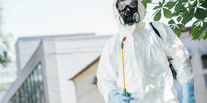¿Qué son los fitosanitarios y cómo protegerse?