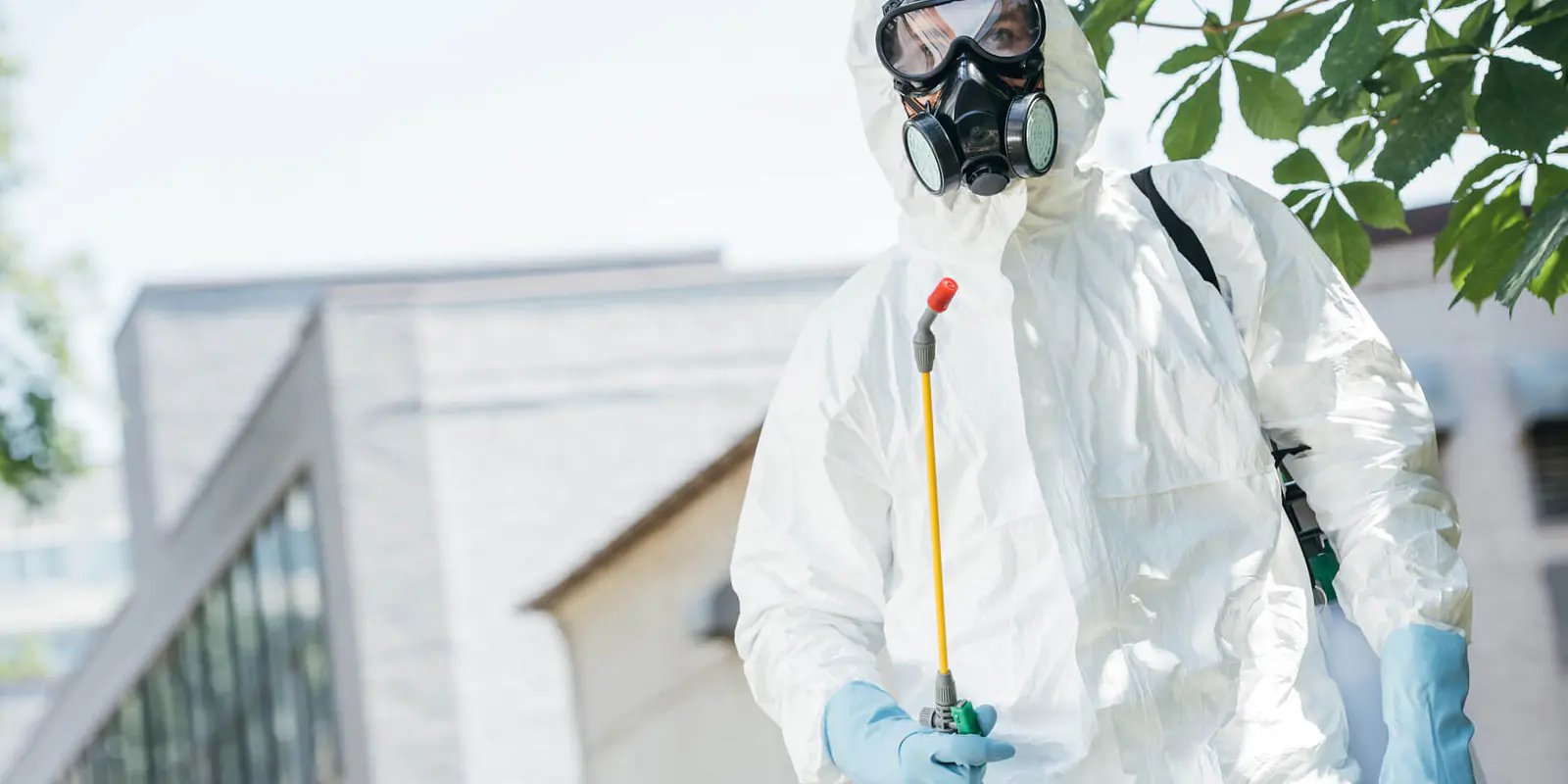 ¿Qué son los fitosanitarios y cómo protegerse?